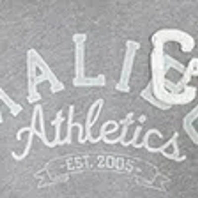 Hollister Faux Fur-lined Hood Graphic Hoodie In Gray