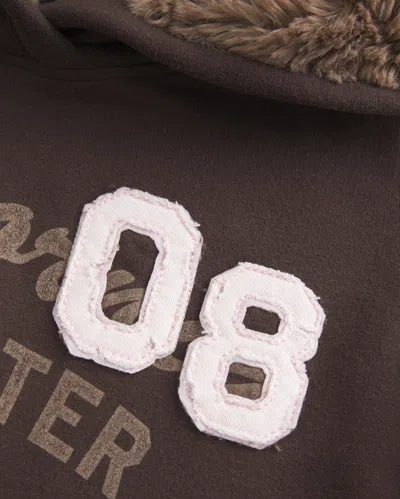 Hollister Faux Fur-lined Hood Graphic Hoodie In Brown