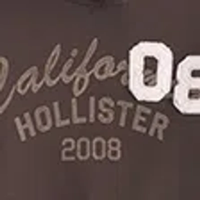 Hollister Faux Fur-lined Hood Graphic Hoodie In Brown