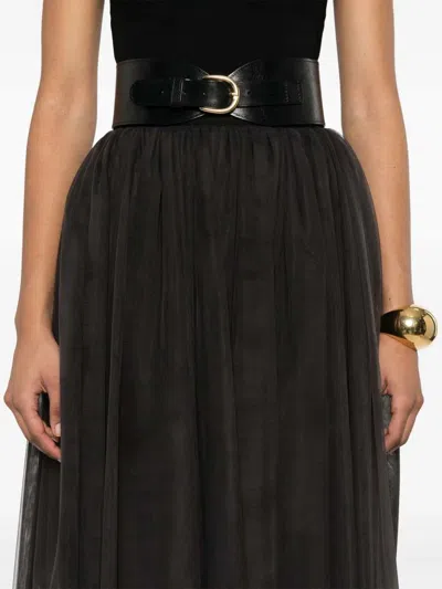 Dolce & Gabbana Women Tulle Midi Skirt In Black