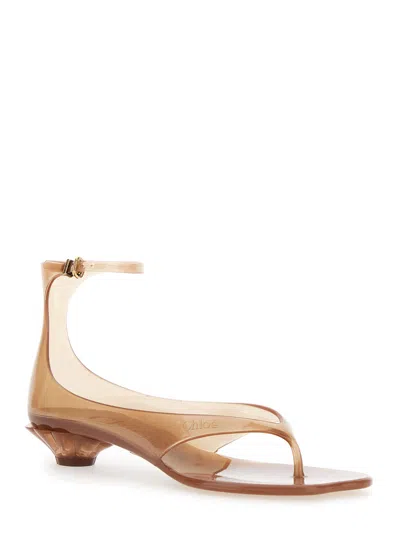 Chloé Chloe Women Biscuit Tpu Chloe Jelly Thong Sandals In Brown