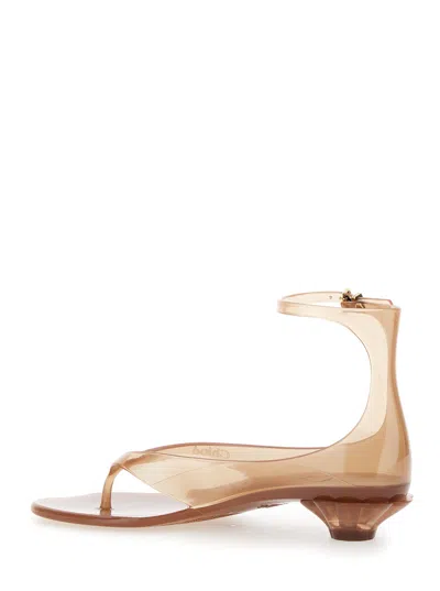 Chloé Chloe Women Biscuit Tpu Chloe Jelly Thong Sandals In Brown