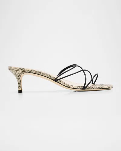 Manolo Blahnik 50mm Ninfemu Snake-effect Leather Mules In Multi