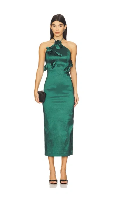 Kika Vargas Kleid Megertu In Green