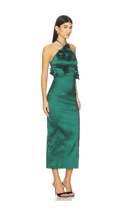 Kika Vargas Kleid Megertu In Green