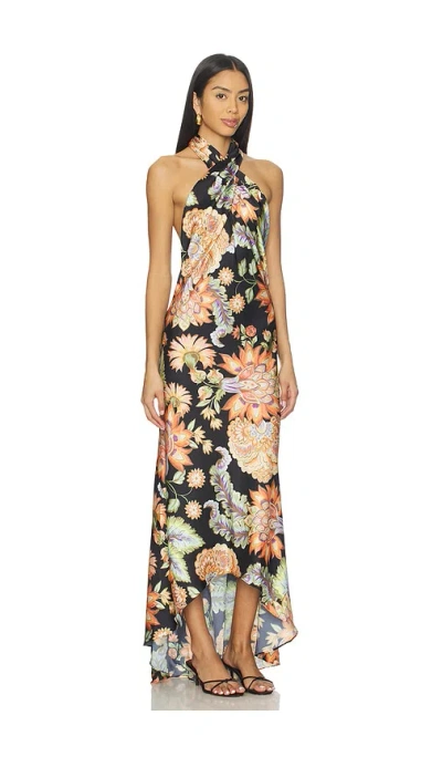 Misa Kleid Harley In Brown