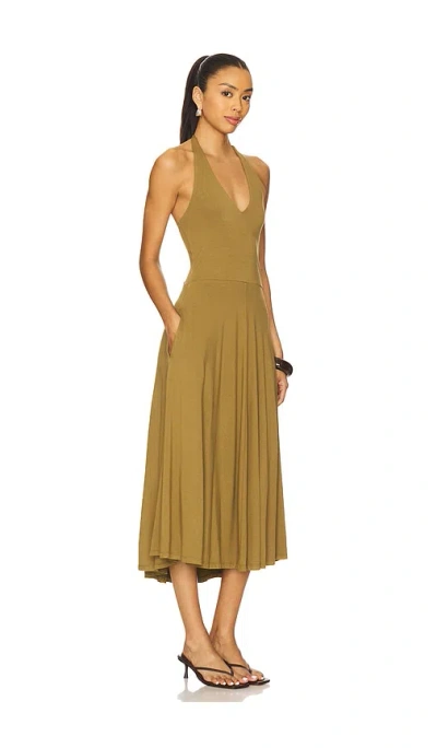 Steve Madden Midi-kleid Hazel In Brown