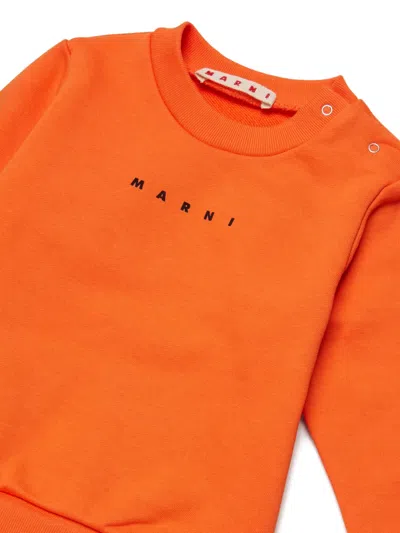 Marni Crew-neck Sweater In Multi