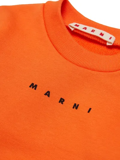 Marni Crew-neck Sweater In Multi