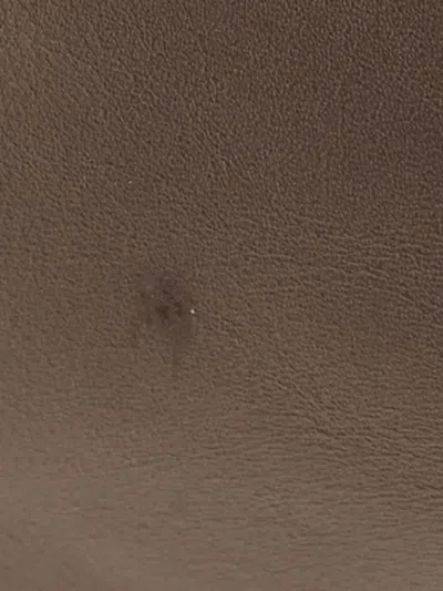 Pre-owned Bottega Veneta 2010 Leather Messenger Bag In Neutral