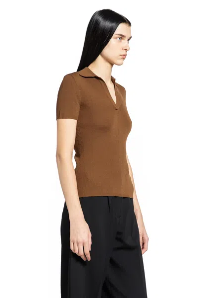 Max Mara Mxmalbero Short-sleeved Ribbed Polo Shirt In Brown