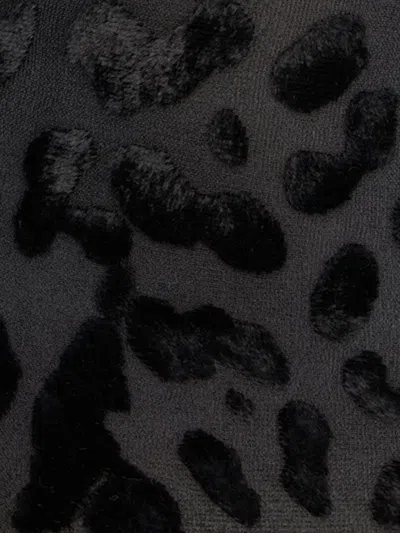 Roberto Cavalli Leopard Loafers In Black