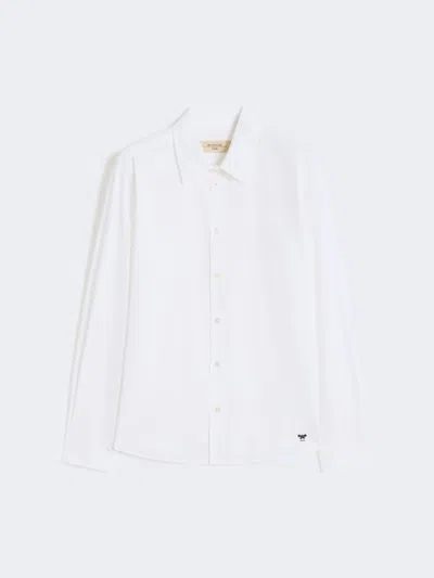Max Mara Classic Cotton Shirt In White