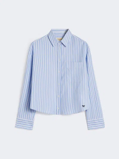 Max Mara Striped Cotton Oxford Shirt In Blue