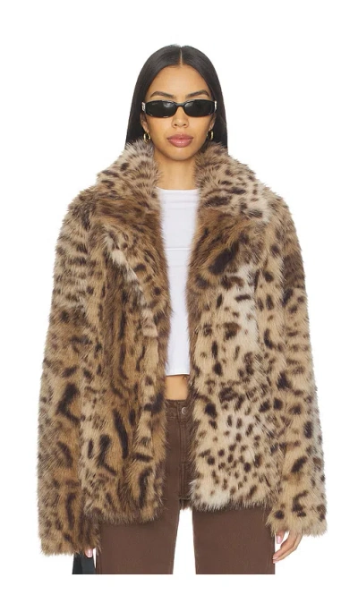 Aniye By Roxette Faux Fur Jacket In Brown