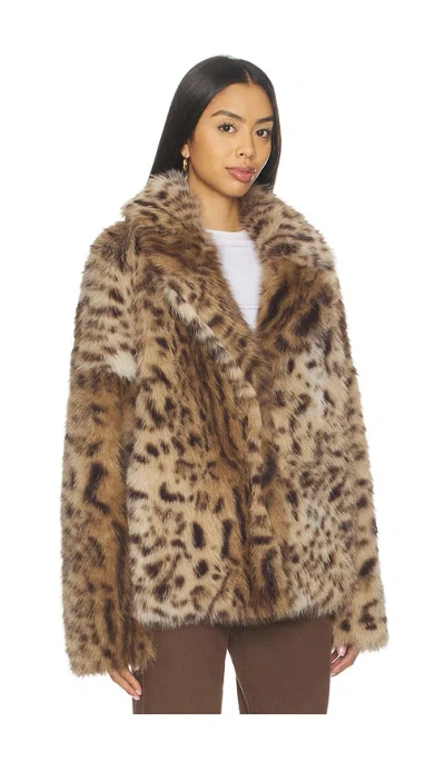 Aniye By Roxette Faux Fur Jacket In Brown