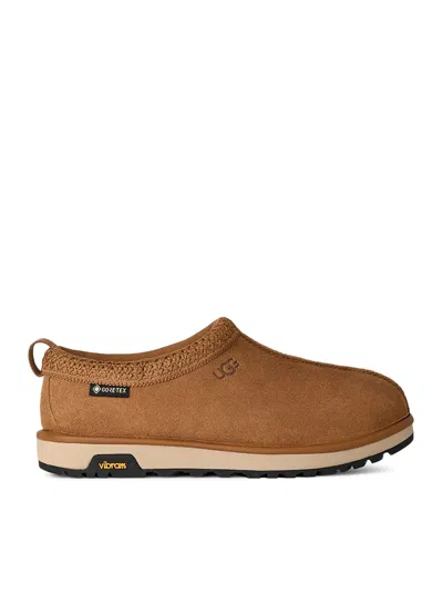 Ugg Tasman Gtx Suede Gore-tex Sneakers In Brown