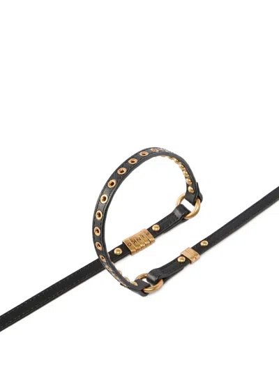 Pinko Eyelet Stud Leather Belt In Black