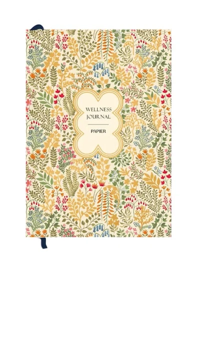 Papier Fairy Flies Hardcover Wellness Journal In Multi