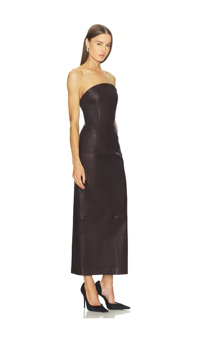 Srg Billy Dress In Brown