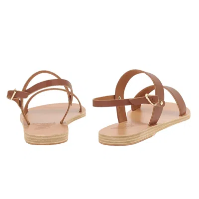 Ancient Greek Sandals Clio Flat Sandals In Brown