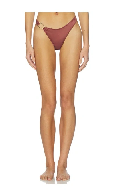 Tropic Of C Ona Curve Bikini Bottom In Brown