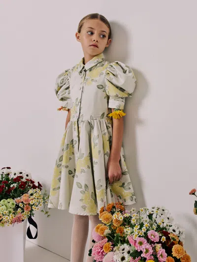 Jessie And James Girls Carousel Dress In Multi