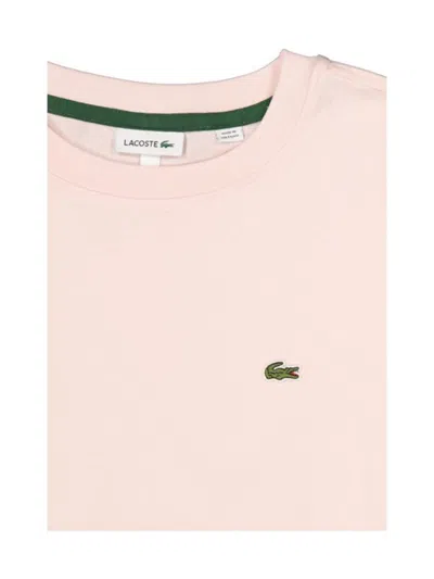 Lacoste T-shirt In Multi