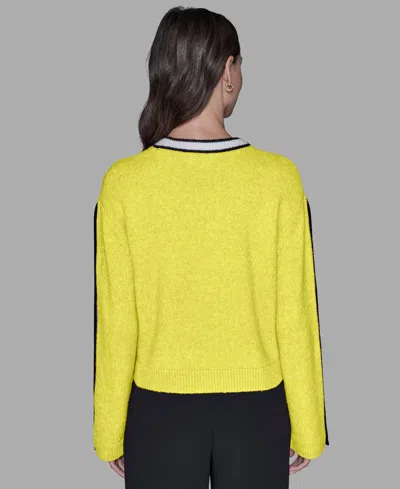 Karl Lagerfeld Petite Crewneck Long-sleeve Sweater In Green