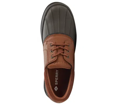 Sperry Coldbay Waterproof 3-eye Duck Shoe In Brown