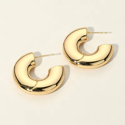 Fashnzfab Secret Box_stainless Steel Hoop Earringsgold In Gold