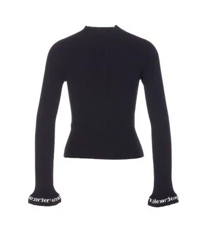 Alexander Wang Sweaters In Multi