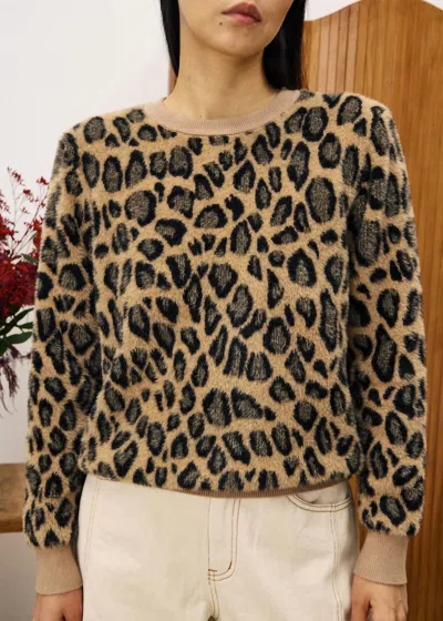Frnch Canna Leopard Sweater In Multi In Multi