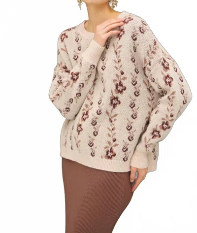 Be Cool Antosh Sweater In Brown In Brown