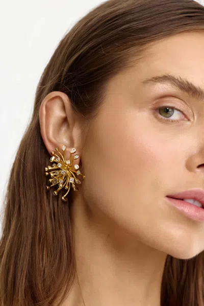 Acler Damon Earring In Gold