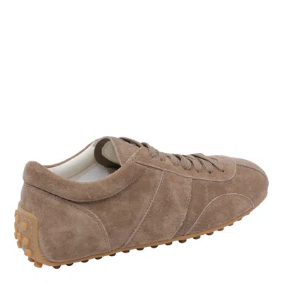 Tod's Sneakers In Brown