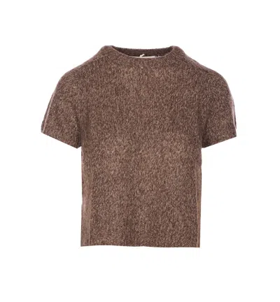 Lisa Yang T-shirts And Polos In Brown