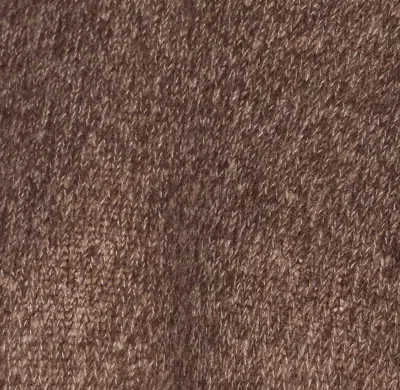 Lisa Yang T-shirts And Polos In Brown