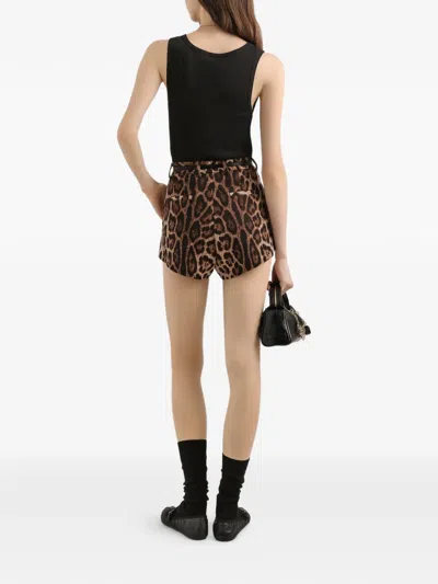 Dolce & Gabbana Leopard-print Shorts In Brown