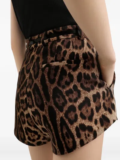 Dolce & Gabbana Leopard-print Shorts In Brown