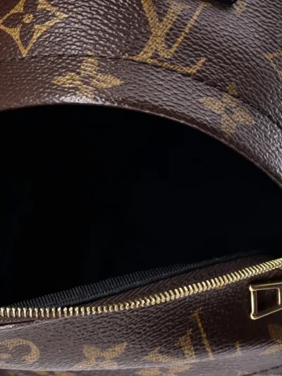 Pre-owned Louis Vuitton Palm Springs Monogram Canvas Mini Backpack In Brown