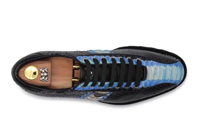 Harris Shoes 1913 Sneakers In Pitone Limited Edition In Black