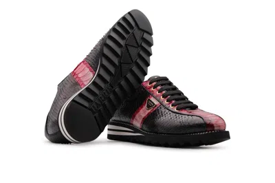 Harris Shoes 1913 Sneakers In Pitone Limited Edition In Black
