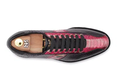 Harris Shoes 1913 Sneakers In Pitone Limited Edition In Black