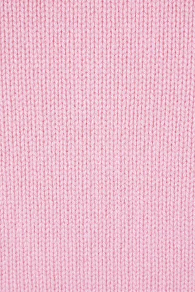 Sa Su Phi Ribbed Knitwear In Pink