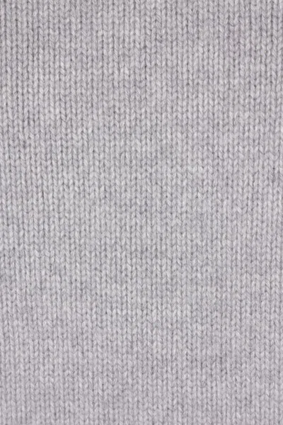 Sa Su Phi Ribbed Sweater In Gray