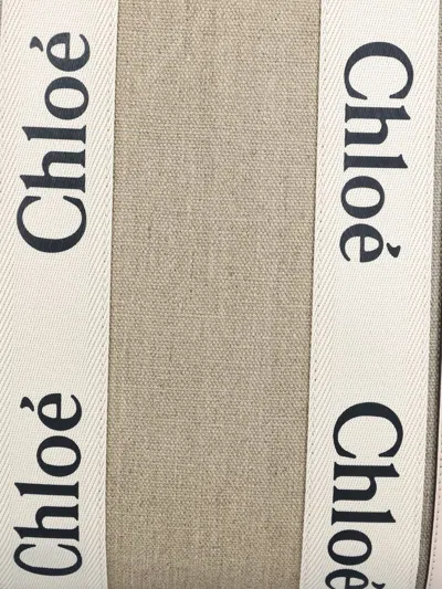 Chloé Chloe Women Multicolor Canvas Medium Woody Shopping Bag In Multi