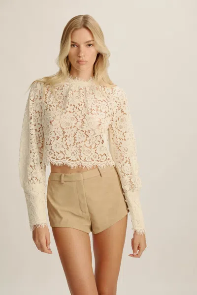 Bardot Georgia Lace Top In Neutral