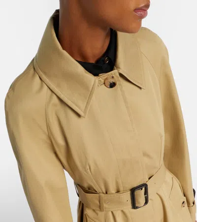 Burberry Cotton Trench Coat In Brown