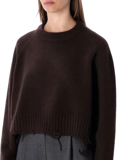 Low Classic Cropped Pullover Distressed Hemline In Brown